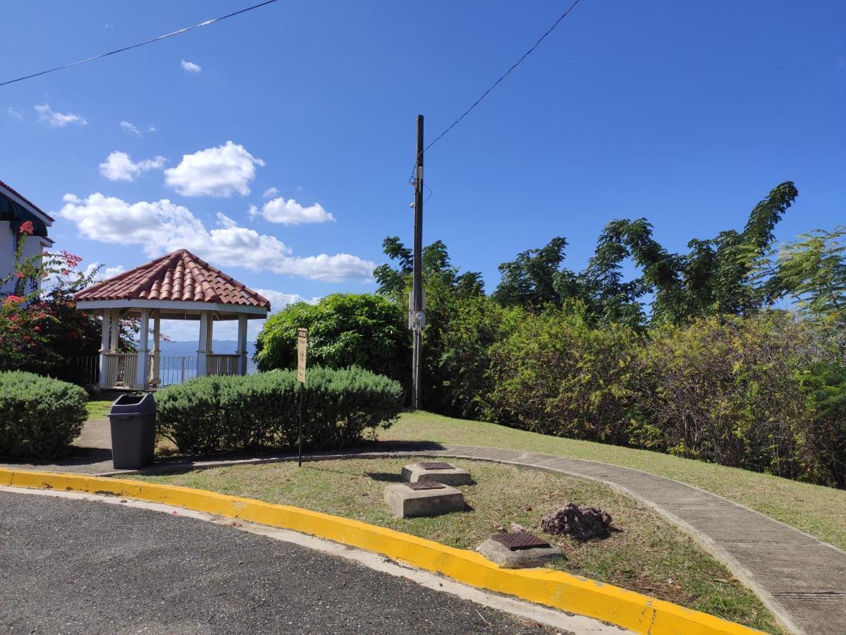 Montego Bay Garden Studio Eksteriør bilde